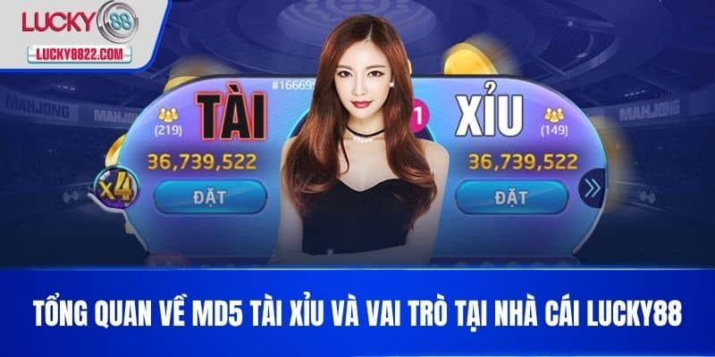 Md5 Tài Xỉu - Hướng Dẫn Chi Tiết Và Cách Chơi Hiệu Quả Nhất 2 Tổng quan về Md5 tài xỉu và vai trò tại nhà cái LUCKY88